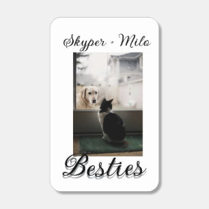 Pet friends besties add name pet photo animal love matchboxes