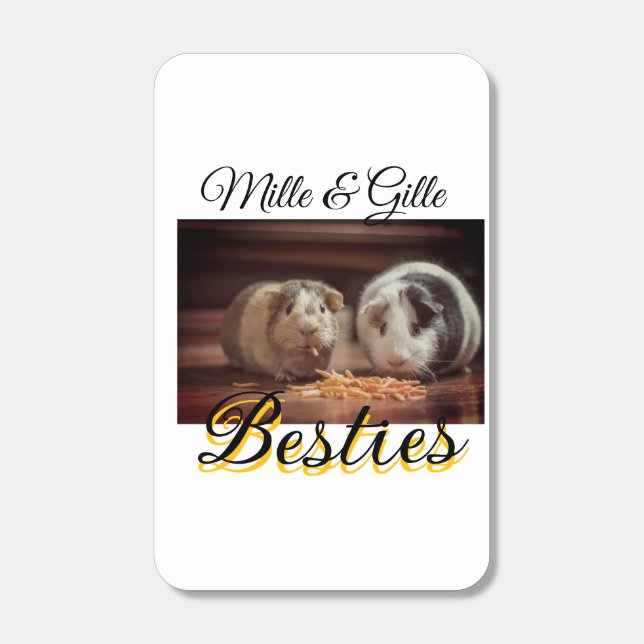 Pet friends besties add name pet photo animal love matchboxes (Front)