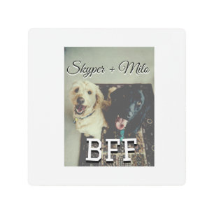 Pet friends besties add name pet photo animal love metal print