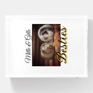 Pet friends besties add name pet photo animal love paperweight