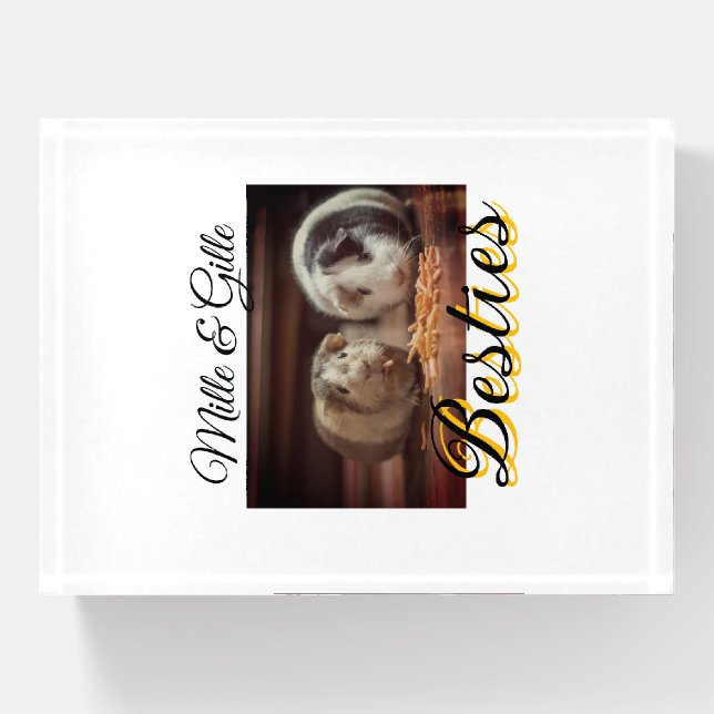 Pet friends besties add name pet photo animal love paperweight (Front)