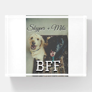 Pet friends besties add name pet photo animal love paperweight