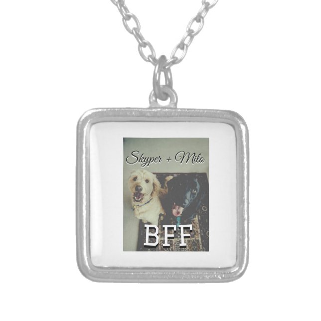 Pet friends besties add name pet photo animal love silver plated necklace (Front)