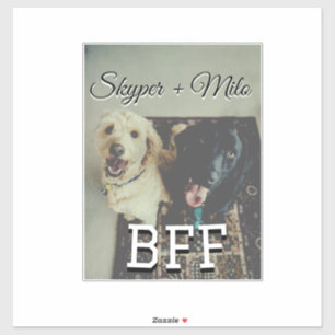 Pet friends besties add name pet photo animal love sticker
