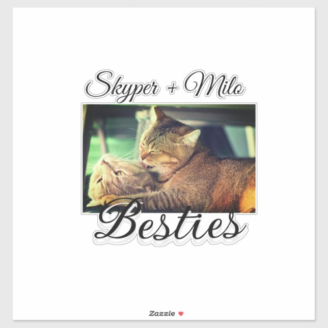 Pet friends besties add name pet photo animal love sticker (Sheet)