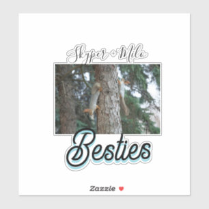 Pet friends besties add name pet photo animal love sticker