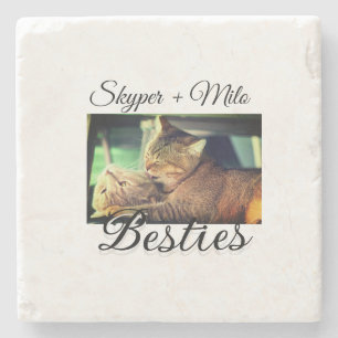 Pet friends besties add name pet photo animal love stone coaster