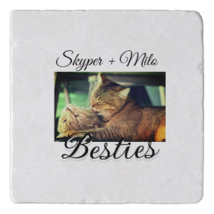 Pet friends besties add name pet photo animal love trivet