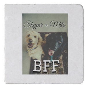 Pet friends besties add name pet photo animal love trivet
