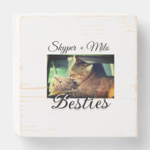 Pet friends besties add name pet photo animal love wooden box sign