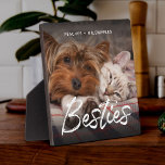 Pet Friends Dog Dad Cat Mom Gift BFF Besties Photo Plaque<br><div class="desc">Do you have pets that are best friends? Celebrate the BESTIES with this modern brush script photo plaque showcasing a favorite photo of your fur babies as well as their names. Easy to customize, this will be a great gift for any cat mom, dog dad, or fan of interspecies love....</div>