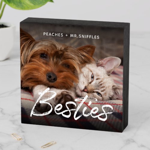 Pet Friends Dog Dad Cat Mom Gift BFF Besties Photo Wooden Box Sign