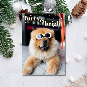 Pet Furry and Bright Gold Dots Foil Holiday Card
