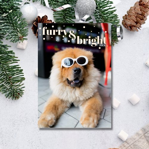  Pet Furry and Bright Gold Dots Foil Holiday Card