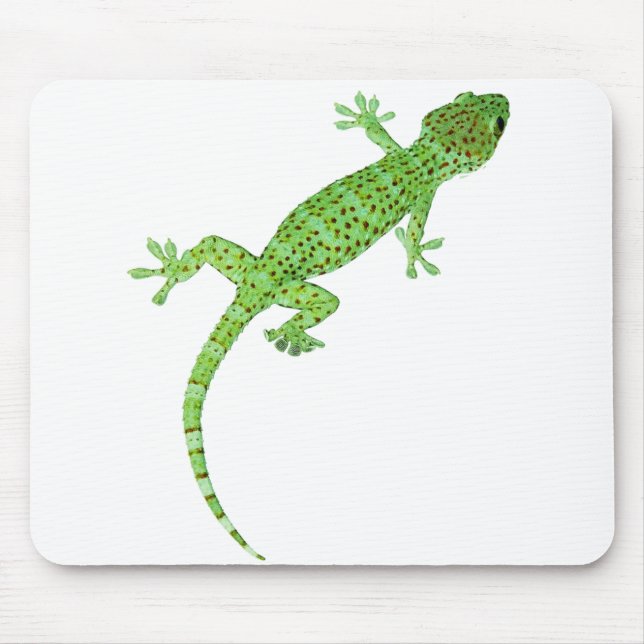 Pet Gecko Lizard design Mouse Pad (Front)