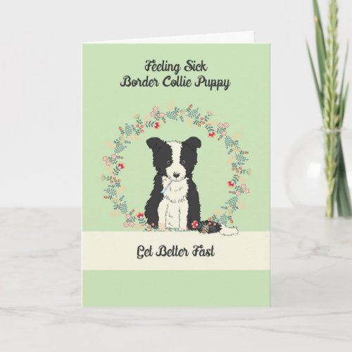 Pet Get Well Card for Border Collie Puppy