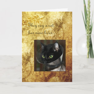 Pet Get Well with Black Cat Card