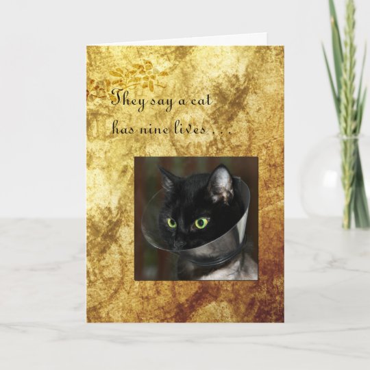 Pet Get Well with Black Cat Card | Zazzle.com