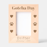 Pet Gotcha Day