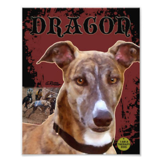 Pet Greyhound Print