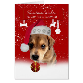 Pet Groomer Cards - Greeting &amp; Photo Cards | Zazzle