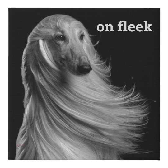 Pet Groomer Wall Art - on fleek | Zazzle.com