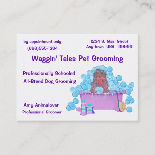 Pet Grooming Business And Appointment Card Business Card