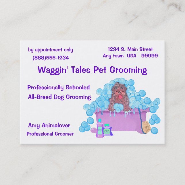 Pet Grooming Business And Appointment Card (Front)