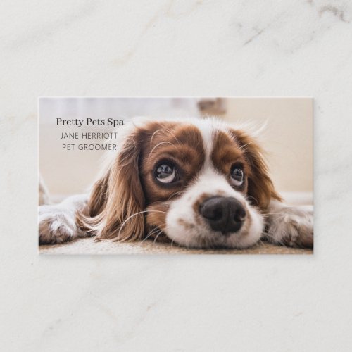 Pet Grooming Business Card