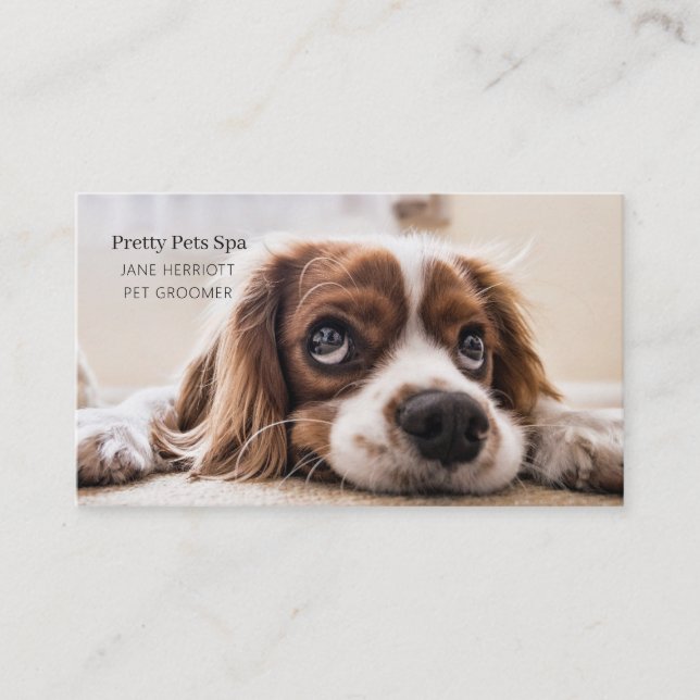 Pet Grooming Business Card (Front)