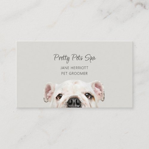 Pet Grooming Business Card