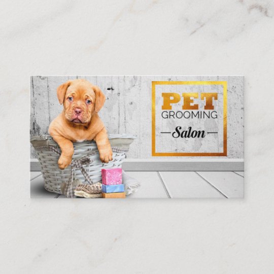 Pet Grooming Business Card