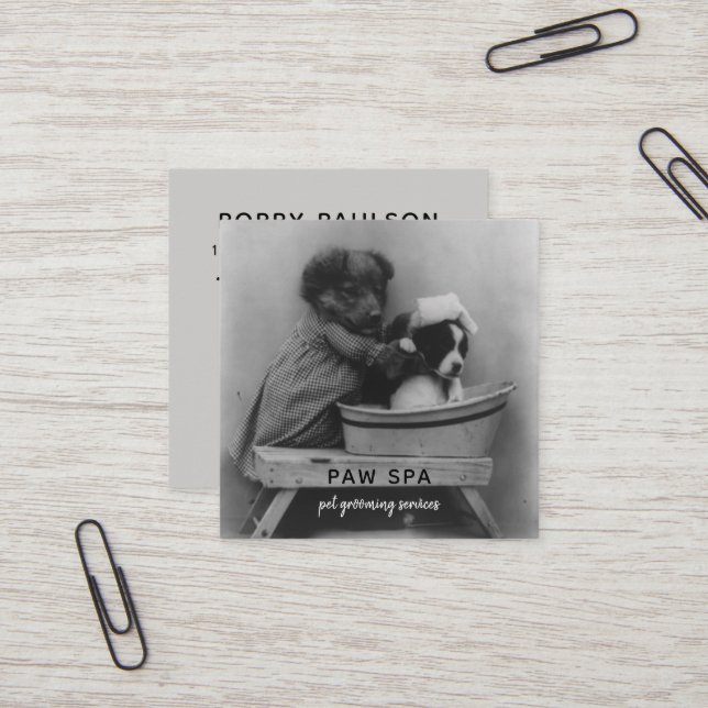 Pet Grooming Business Cute Vintage Puppy Dogs Square Business Card (Front/Back In Situ)