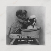 Pet Grooming Business Cute Vintage Puppy Dogs Square Business Card (Front)