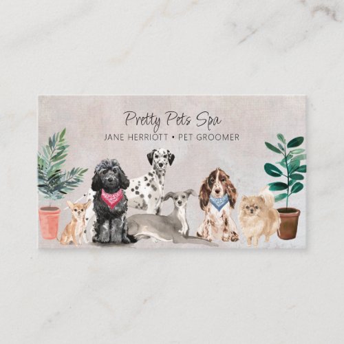 Pet Grooming Pet Spa Business Card