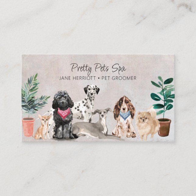 Pet Grooming Pet Spa Business Card (Front)