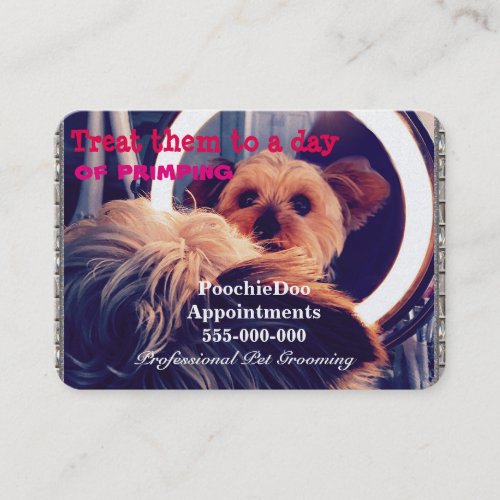 Pet Grooming Primping Pooch Professional Appointment Card