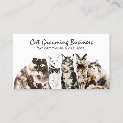 Pet Grooming Salon Spa Cats Business Card