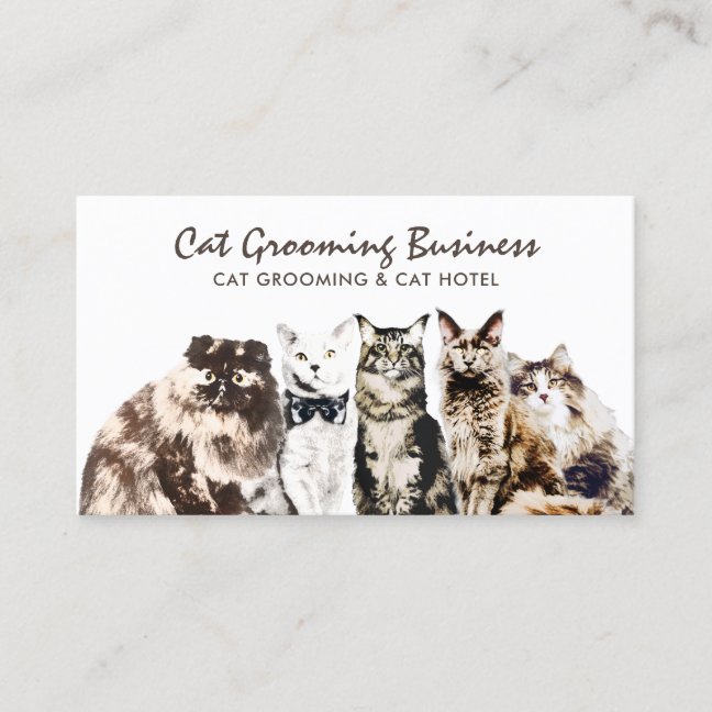 Pet Grooming Salon Spa Cats Business Card