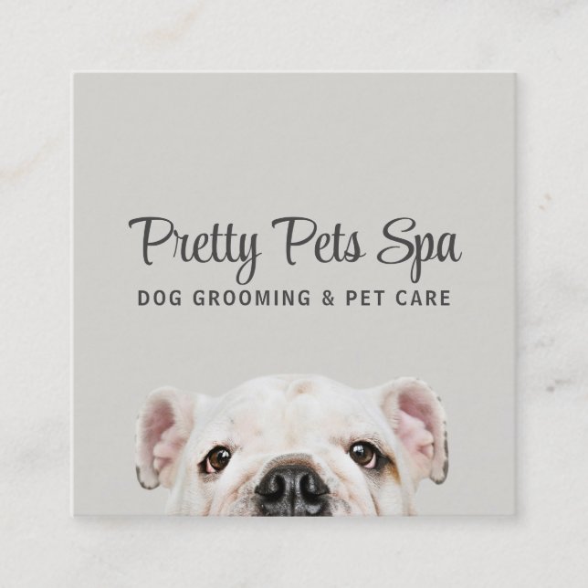 Pet Grooming Sitter Dog Spa Square Business Card (Front)