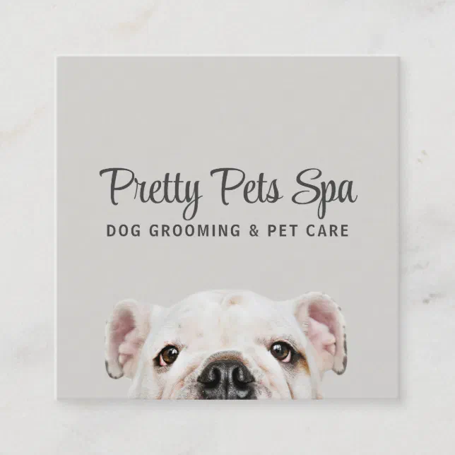 Pet Grooming Sitter Dog Spa Square Business Card Zazzle