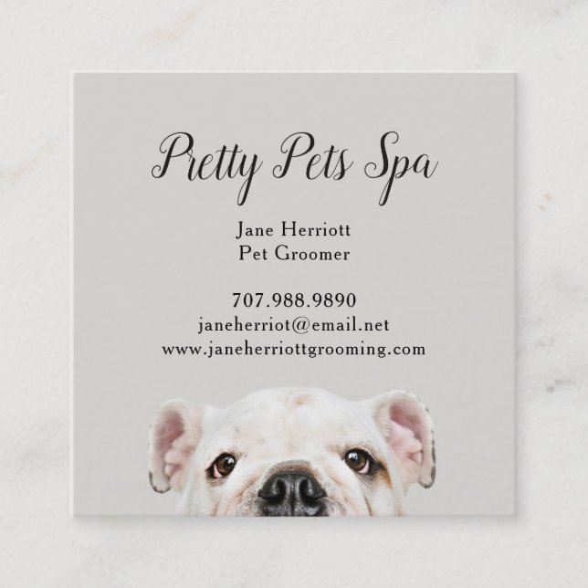 Pet Grooming Square Business Card (Front)