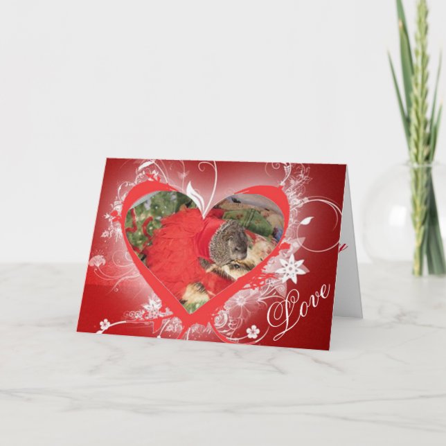 Pet groundhog, Maude, Valentine's Day card (Front)