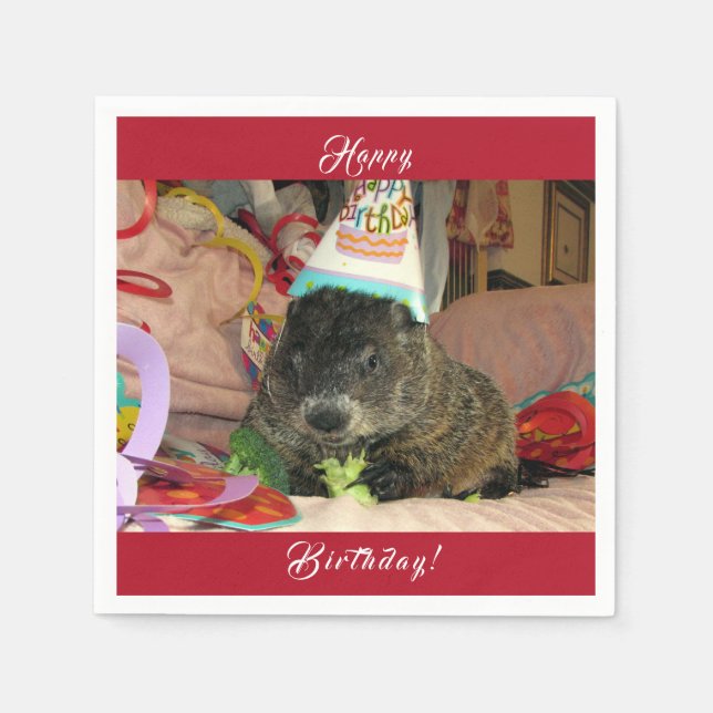 Pet Groundhog Moses Birthday Napkins (Front)