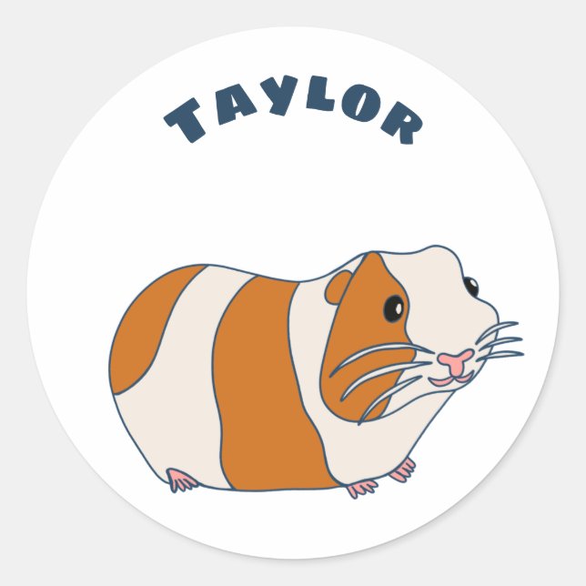Pet Guinea Pig Illustration Personalized Classic Round Sticker (Front)