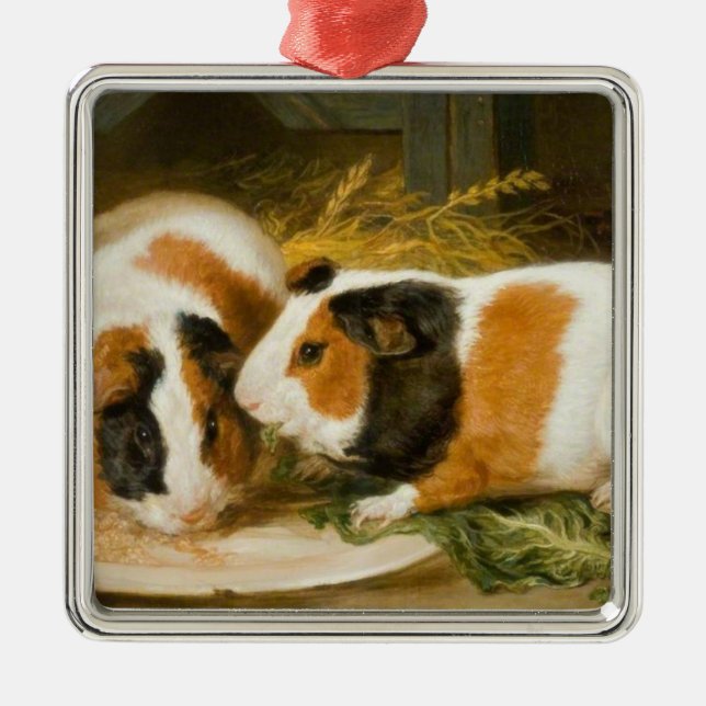 Pet Guinea Pigs Feeding (by James Ward) Metal Ornament (Front)