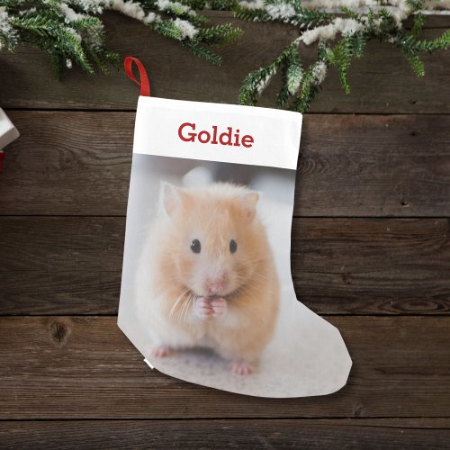 Pet Hamster Lover Photo  Name Personalized Small Christmas Stocking