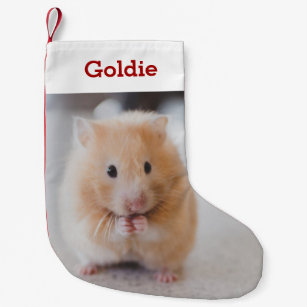 hamster gifts hamster lovers
