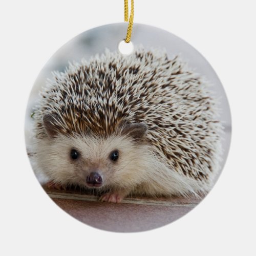 Pet Hedgehog Ceramic Ornament