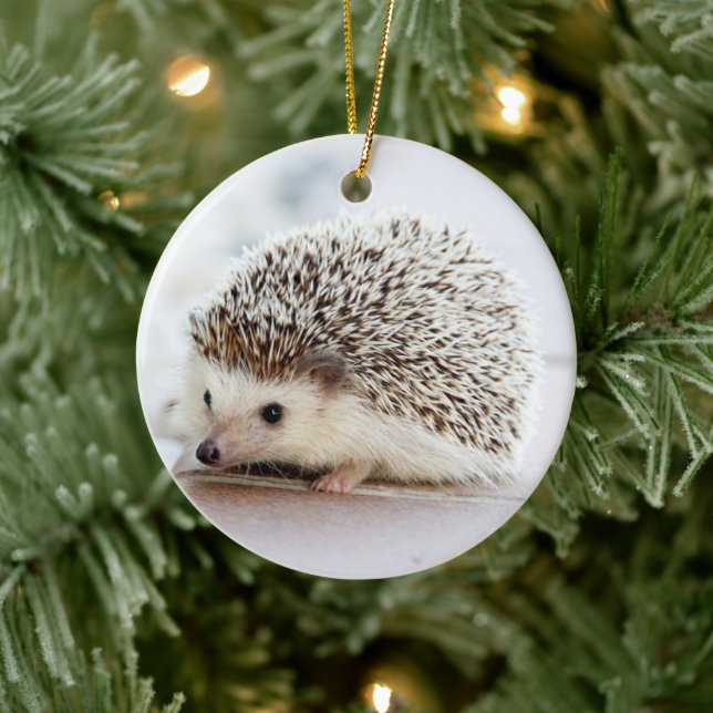 Pet Hedgehog Ceramic Ornament (Tree)